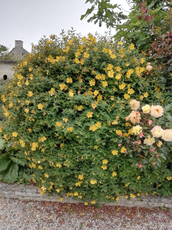 Victoria Arromanches B&B Tracy-sur-Mer Luaran gambar