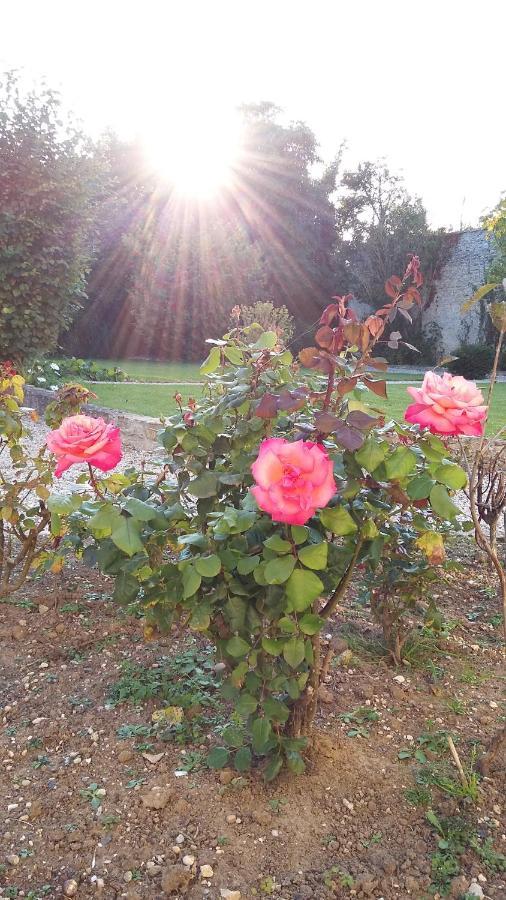 Victoria Arromanches B&B Tracy-sur-Mer Luaran gambar